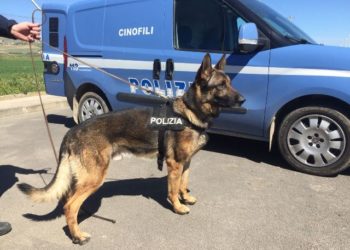 Avola. Trovato in possesso di 12 dosi di cocaina, finisce ai domiciliari un 60enne