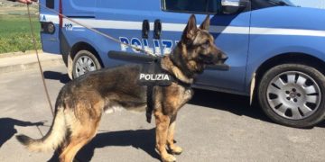 Avola. Trovato in possesso di 12 dosi di cocaina, finisce ai domiciliari un 60enne
