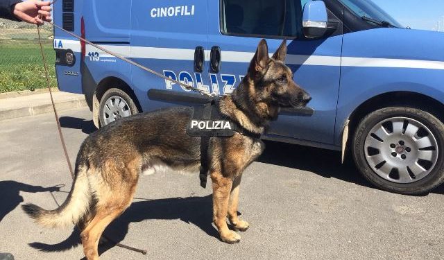 Avola. Trovato in possesso di 12 dosi di cocaina, finisce ai domiciliari un 60enne