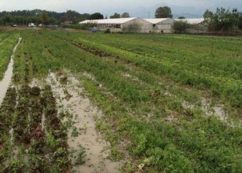 Violenta grandinata ad Avola, il sindaco Cannata chiede lo stato di calamità