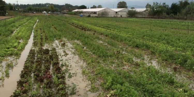 Violenta grandinata ad Avola, il sindaco Cannata chiede lo stato di calamità