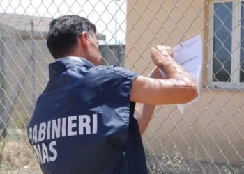 Avola. Irregolarità in un allevamento di ovini, maxi multa da 70 mila euro