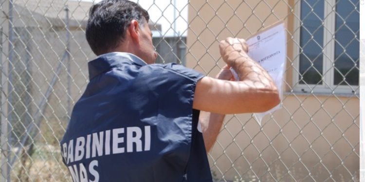 Avola. Irregolarità in un allevamento di ovini, maxi multa da 70 mila euro