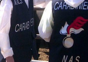 Avola, controlli Carabinieri e Nas: sequestrati oltre 200 ovini e multe fino a 70 mila euro