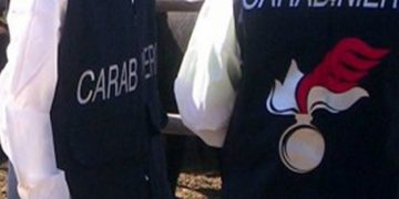 Avola, controlli Carabinieri e Nas: sequestrati oltre 200 ovini e multe fino a 70 mila euro