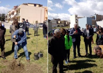 Avola, una città sempre più “verde”: piantumati nuovi alberi nella piazzetta tra via Orsini e via Falcone