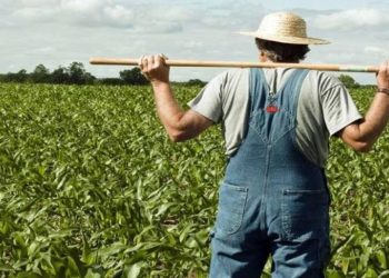 Avola, emesso il bando start – up agricoltura 2018 per giovani impreditori agricoli