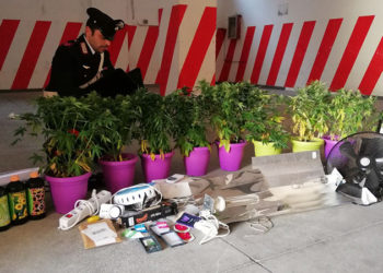 Avola, sorpreso con 8 piante di “cannabis indica” coltivate in casa: 31enne arrestato