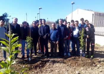 Avola, verso l’inaugurazione del Museo della Mandorla. Il sindaco: “nuovo spazio che migliorerà l’offerta culturale”