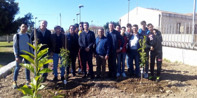 Avola, verso l’inaugurazione del Museo della Mandorla. Il sindaco: “nuovo spazio che migliorerà l’offerta culturale”