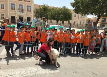 Avola. Al plesso scolastico “Lido” a lezione con gli amici a quattro zampe