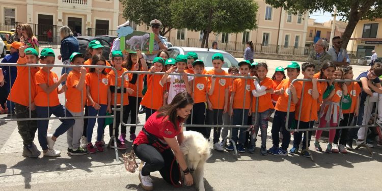 Avola. Al plesso scolastico “Lido” a lezione con gli amici a quattro zampe