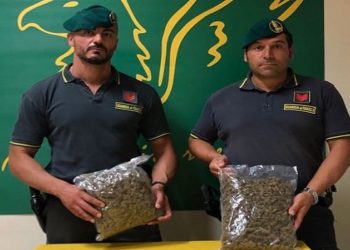 Trasportava su un’auto 1 chilo di marijuana: arrestato dalla Finanza un corriere avolese