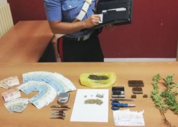 Avola. In casa nascondevano 12 piante di cannabis: due fratelli finiscono ai domiciliari