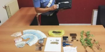 Avola. In casa nascondevano 12 piante di cannabis: due fratelli finiscono ai domiciliari
