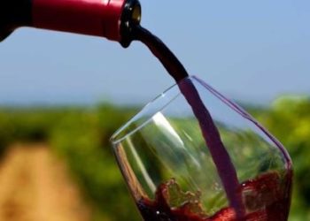 Nero d’Avola made in Australia venduto in Europa. Cannata (Ars): “tutelare i prodotti e produttori siciliani”