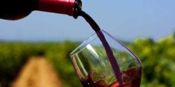 Nero d’Avola made in Australia venduto in Europa. Cannata (Ars): “tutelare i prodotti e produttori siciliani”