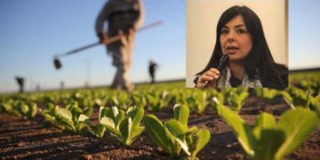 Avola. Vendita diretta dei prodotti agricoli, il disegno diventa legge