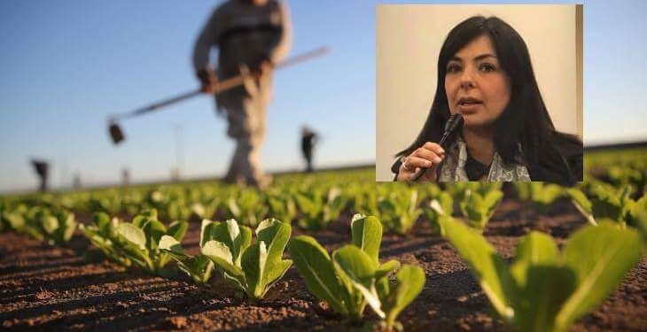 Avola. Vendita diretta dei prodotti agricoli, il disegno diventa legge
