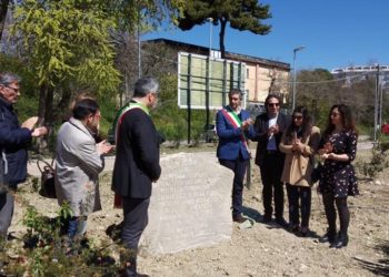 Piantati a Caltanissetta tre mandorli di Avola in memoria di Loredana Lopiano