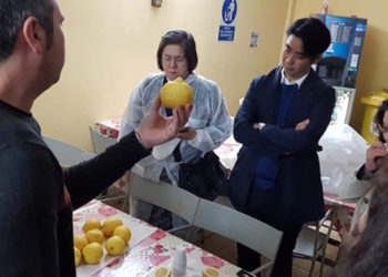 Avola, una delegazione di buyers giapponesi in visita all’azienda Agricoop-Bio