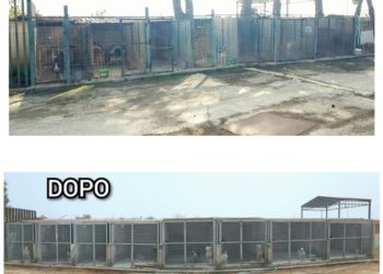 Avola. Ultimati i lavori di restyling al rifugio sanitario