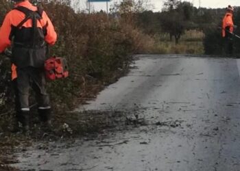 Operazioni di diserbo sulla provinciale 59 e all’istituto Mattei di Avola