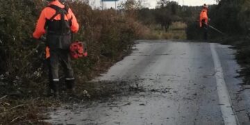 Operazioni di diserbo sulla provinciale 59 e all’istituto Mattei di Avola