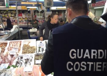 Avola. Calamari e gamberi privi di tracciablità, sequestrati e donati in beneficienza