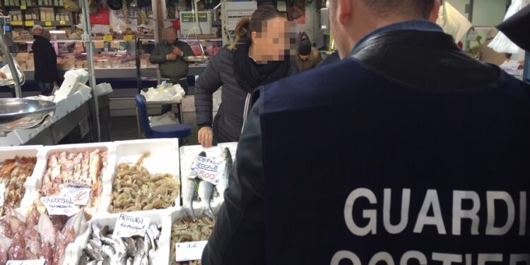 Avola. Calamari e gamberi privi di tracciablità, sequestrati e donati in beneficienza