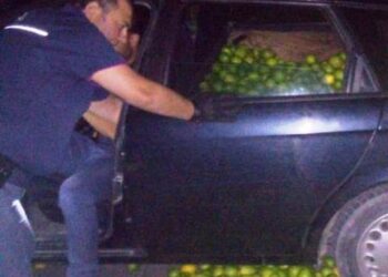 Avola. Furto di limoni in contrada Renna, 4 arrestati e due denunciati