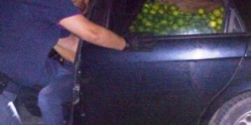 Avola. Furto di limoni in contrada Renna, 4 arrestati e due denunciati