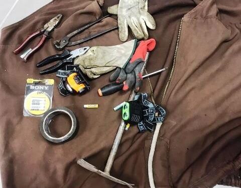 Avola. Furto di limoni in contrada Renna, 4 arrestati e due denunciati