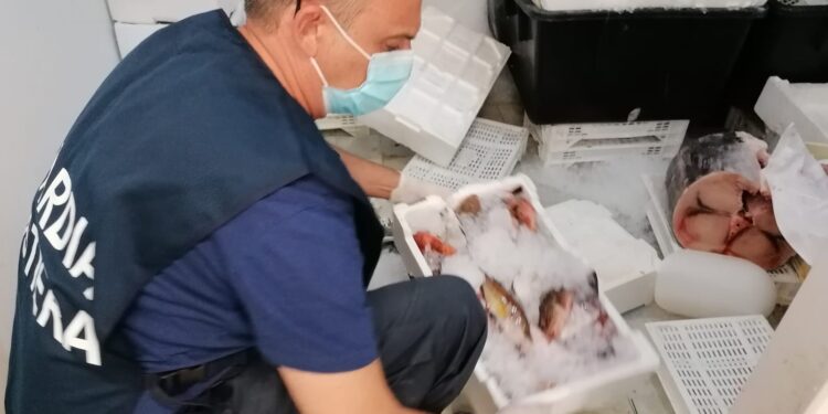 La Capitaneria di Porto di Siracusa sequestra prodotto ittico privo di tracciabilità in pescheria