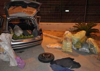 Avola. La Polizia di Stato arresta tre ladri di agrumi