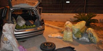 Avola. La Polizia di Stato arresta tre ladri di agrumi