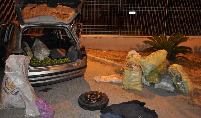 Avola. La Polizia di Stato arresta tre ladri di agrumi