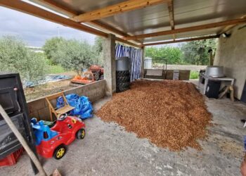 Avola. Individuati gli autori del furto di oltre 5 tonnellate di mandorle