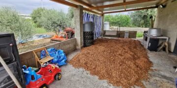 Avola. Individuati gli autori del furto di oltre 5 tonnellate di mandorle