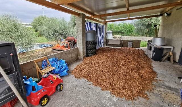 Avola. Individuati gli autori del furto di oltre 5 tonnellate di mandorle