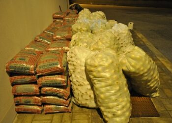 Avola. Ricettazione e porto di oggetti atti allo scasso, denunciato un 31enne