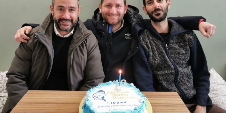 Avola. Ente Fauna Marina Mediterranea festeggia i dieci anni dalla nascita